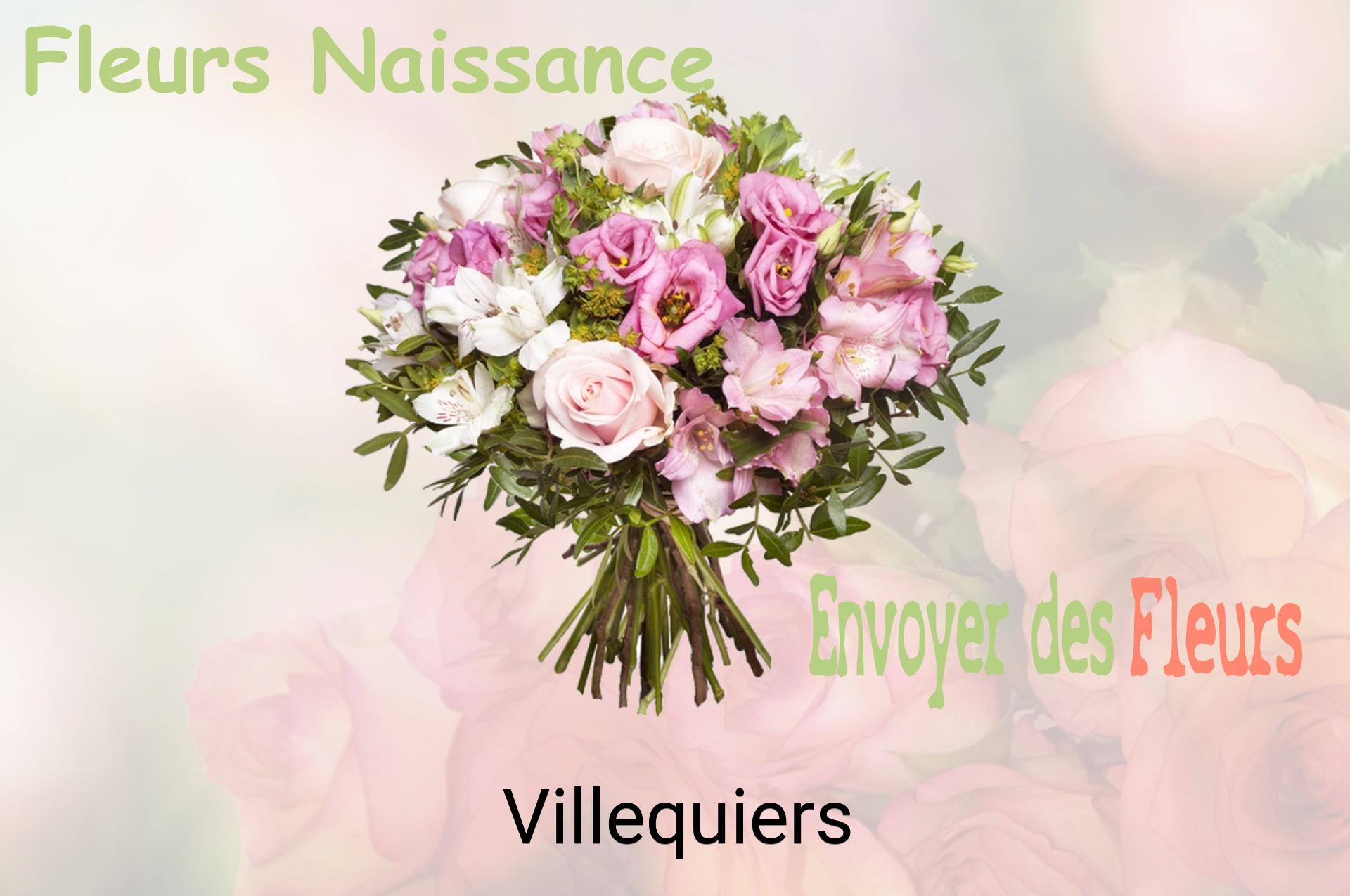 Bouquet de fleurs de naissance livré à Villequiers