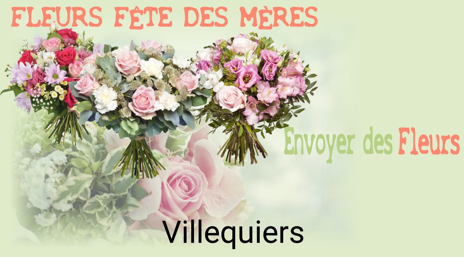Bouquet de Fête des Mères livré à Villequiers